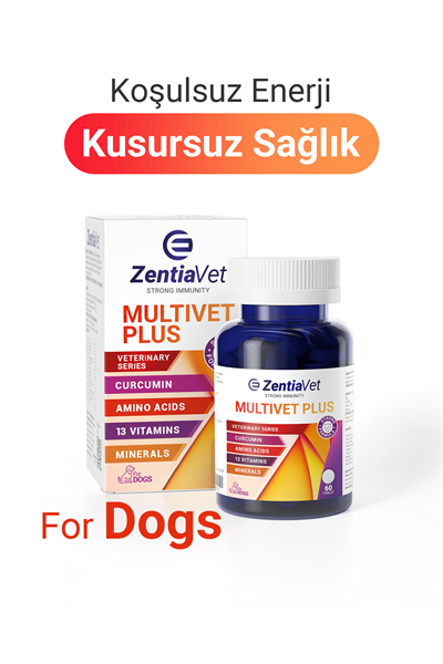 MULTİVET PLUS-DOG