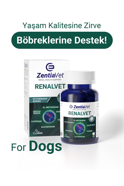 RENALVET-DOG