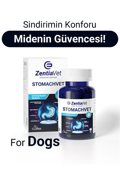 STOMACHVET-DOG