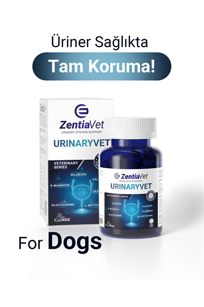 URINARYVET-DOG