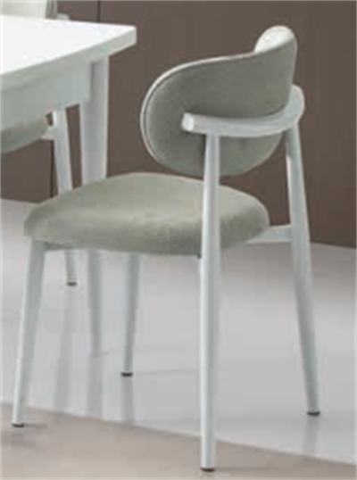 Bulut Polo Metal Sandalye İskelet Beyaz