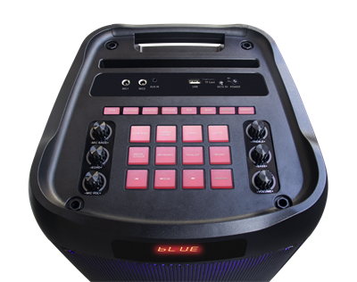 Leader LP-8100 Uhf Mikrofon Taşınabilir Ses Sistemi