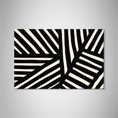 ZEBRA – Çizgilerin Uyumunda