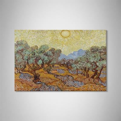 Zeytin Ağaçları (1889) – Vincent van Gogh