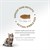 Felicia Kolajenli Somonlu Az Tahıllı Yetişkin Kedi Maması HypoAllergenic Kedi Maması  2 Kg 