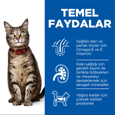 Hills Science Plan Kuzu Etli Yetişkin Kedi Maması