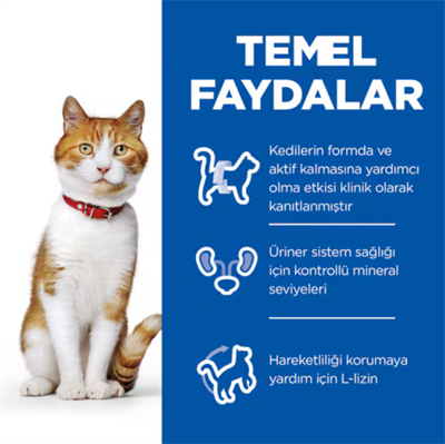 Hills Science Plan Ördekli Kısırlaştırılmış Yetişkin Kedi Maması