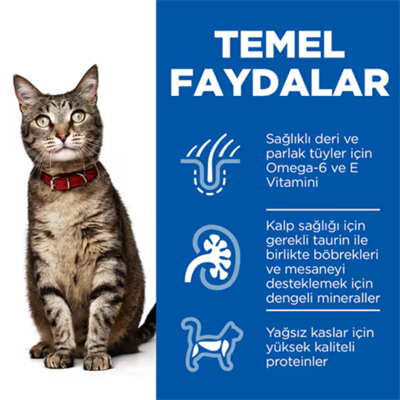 Hills Science Plan Tavuklu Yetişkin Kedi Maması