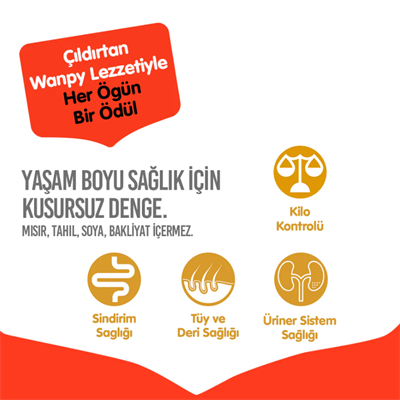 Wanpy Tahılsız Somonlu Yetişkin Kedi Maması 1.5 kg
