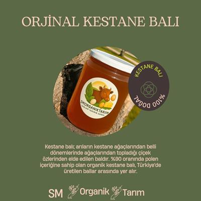 KESTANE BALI 1000g