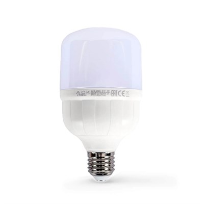 ACK 20 W Led Torch Ampul - Beyaz Işık (6500K) - E27 - AA13-02023