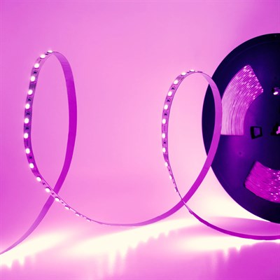 CATA 60 Ledli Şerit Led - RGB Işık - 12 V - İç Mekan - CT-4545