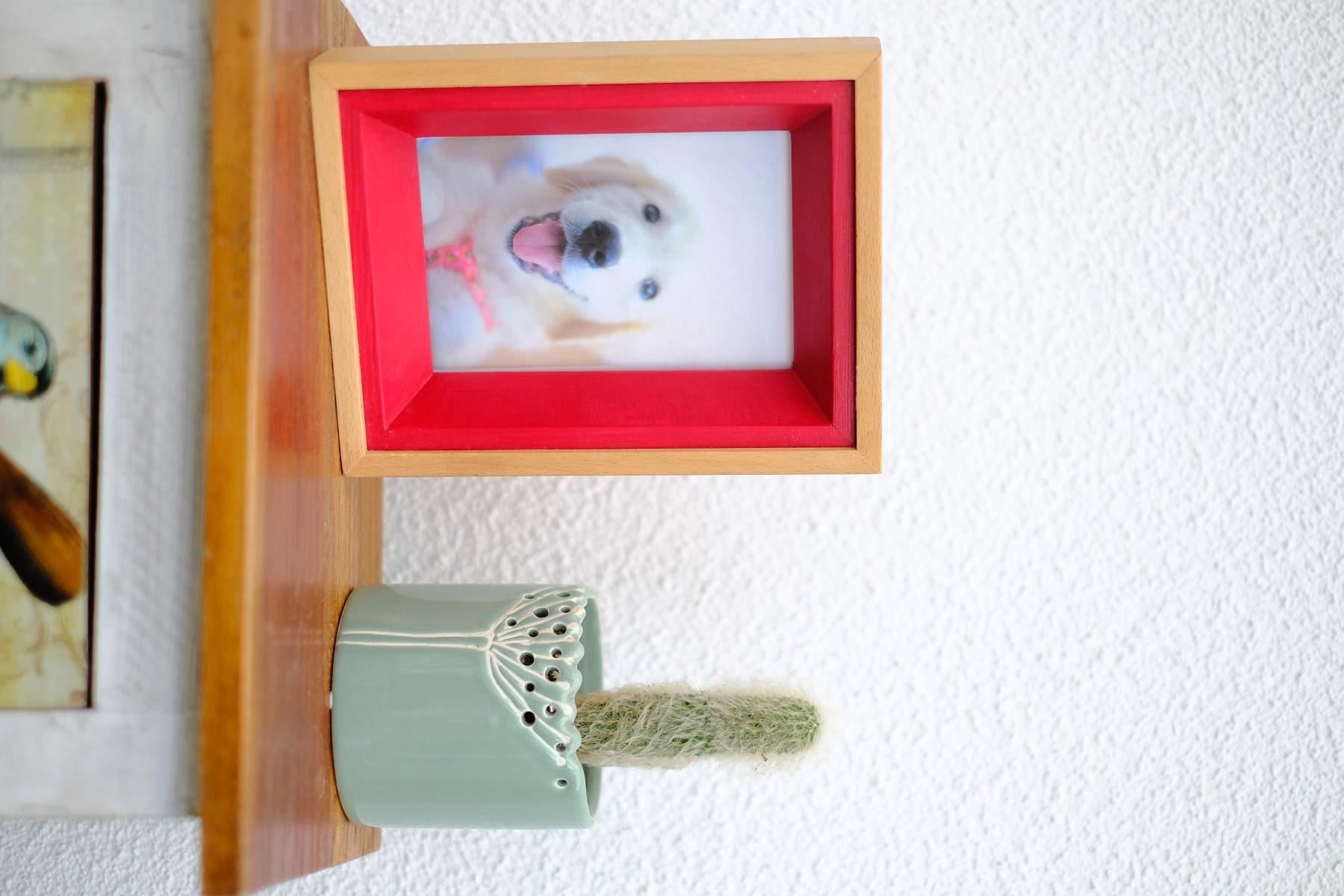 Carpe Diem Handmade Colorful Solid Wood Frame