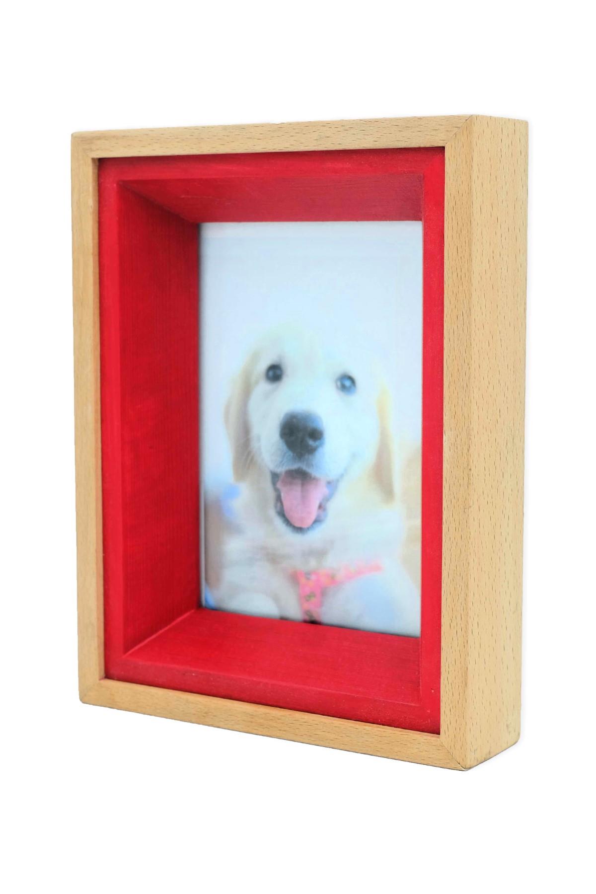 Carpe Diem Handmade Colorful Solid Wood Frame