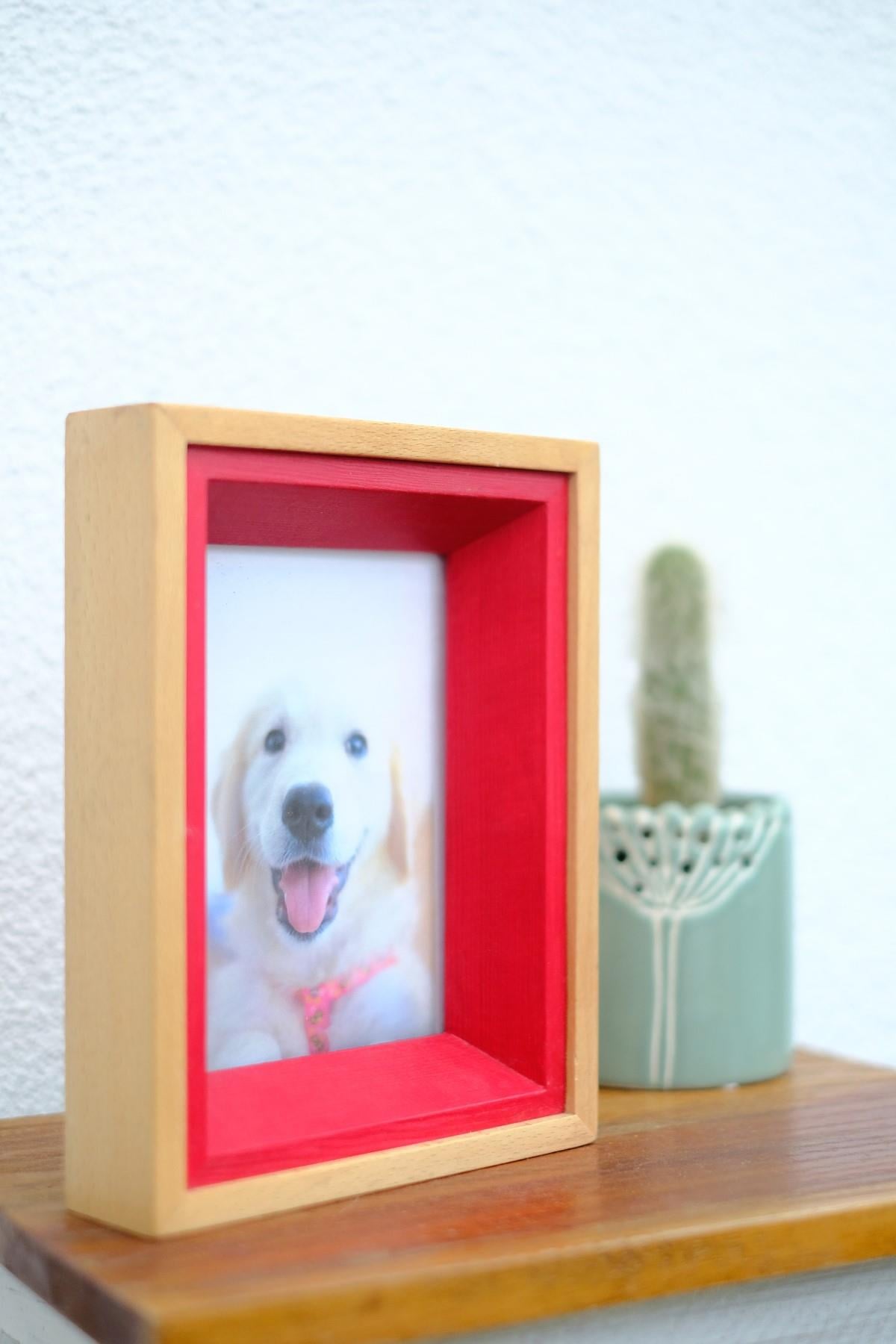 Carpe Diem Handmade Colorful Solid Wood Frame