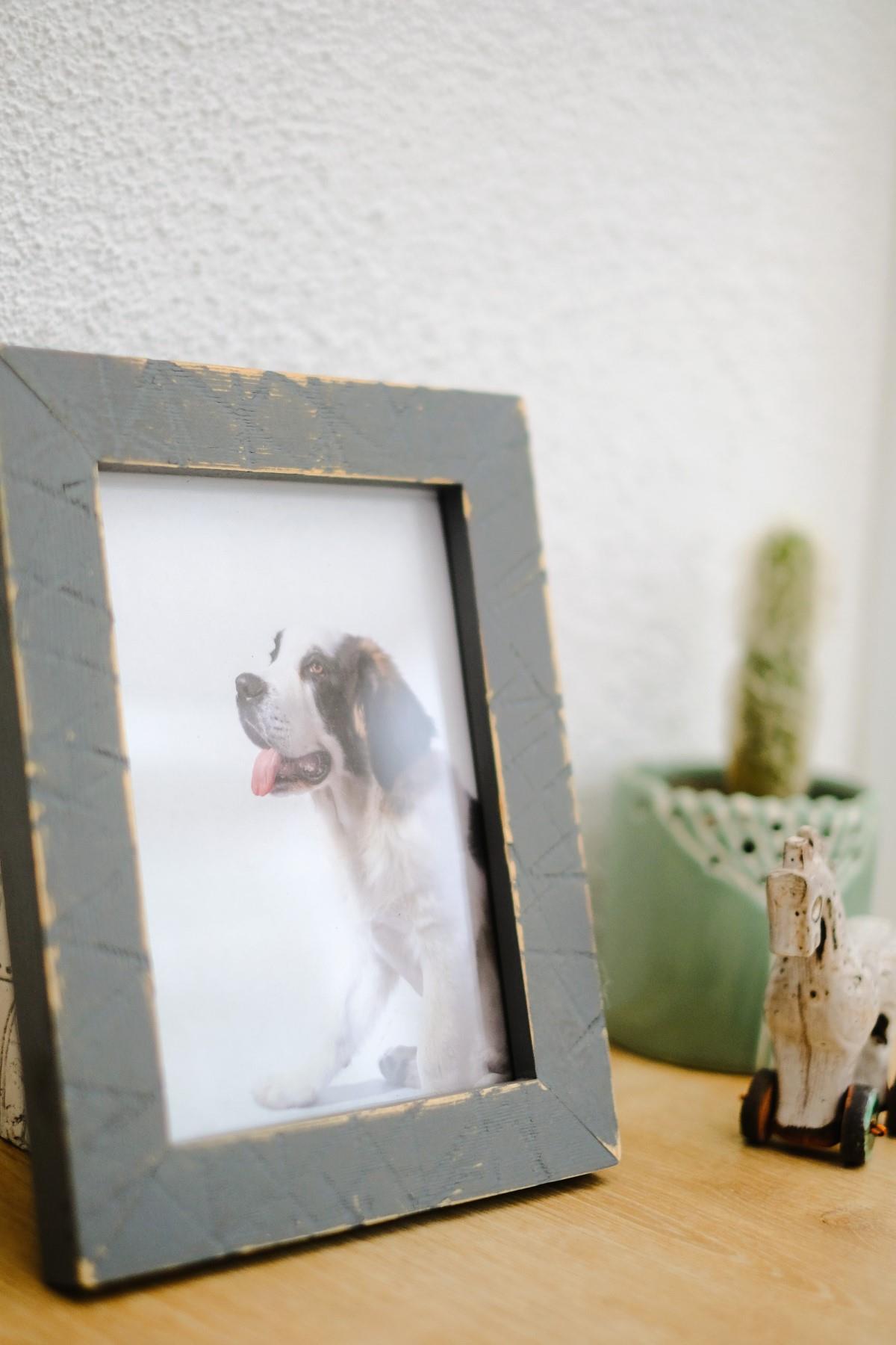 Memoria Handmade Colorful Solid Wood Frame