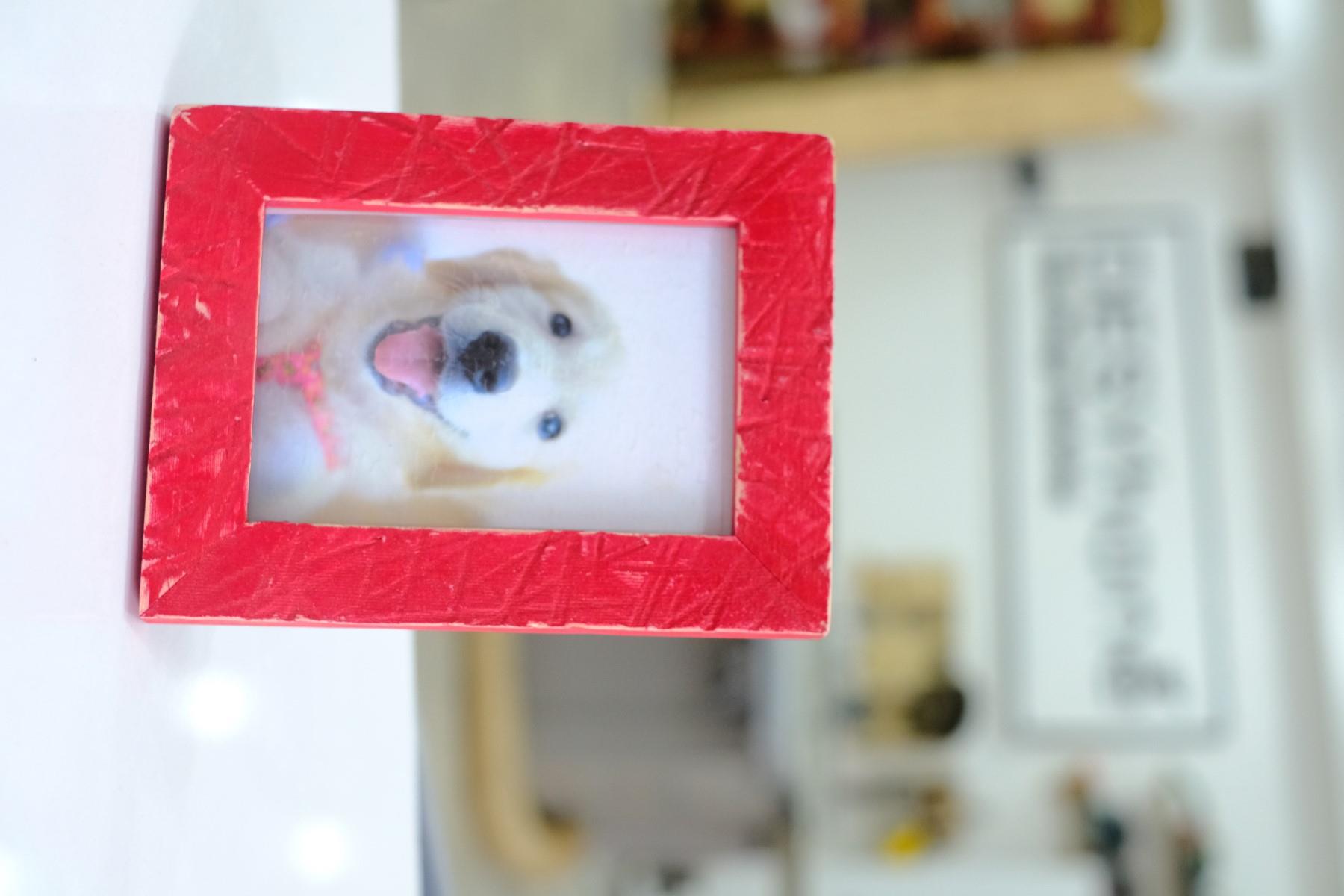 Memoria Handmade Colorful Solid Wood Frame