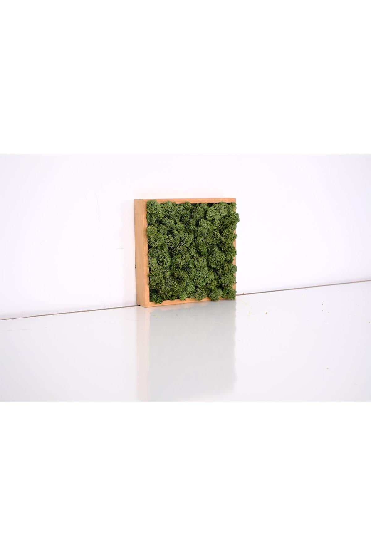 Quadratus Moss Ahşap Çerçevede Canlı Yosun Tablo Dark