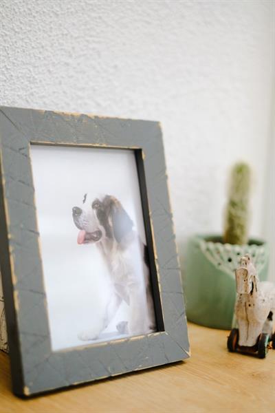 Memoria Handmade Colorful Solid Wood Frame