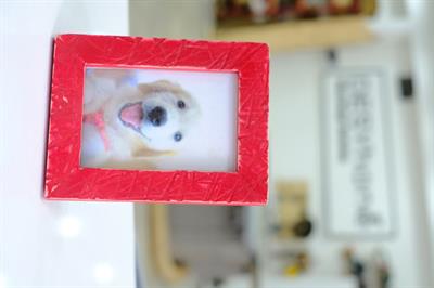 Memoria Handmade Colorful Solid Wood Frame