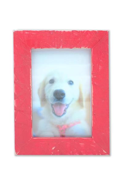 Memoria Handmade Colorful Solid Wood Frame