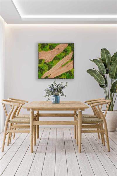 Silva 3 Color Zeytin Dilimi ve Canlı Yosundan El Yapımı Ahşap Duvar Tablosu
