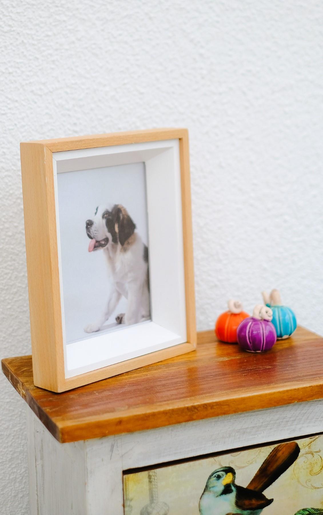 Carpe Diem Handmade Colorful Solid Wood Frame