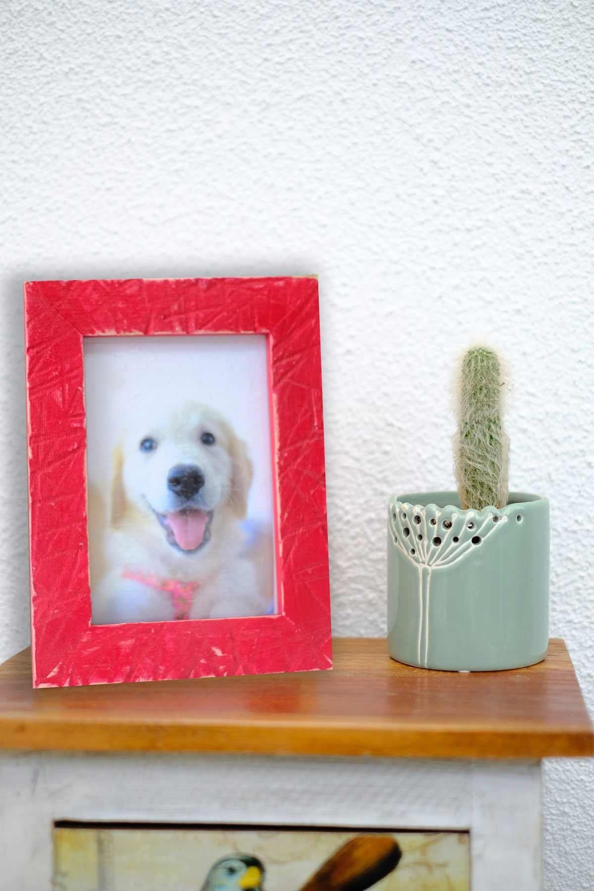Memoria Handmade Colorful Solid Wood Frame