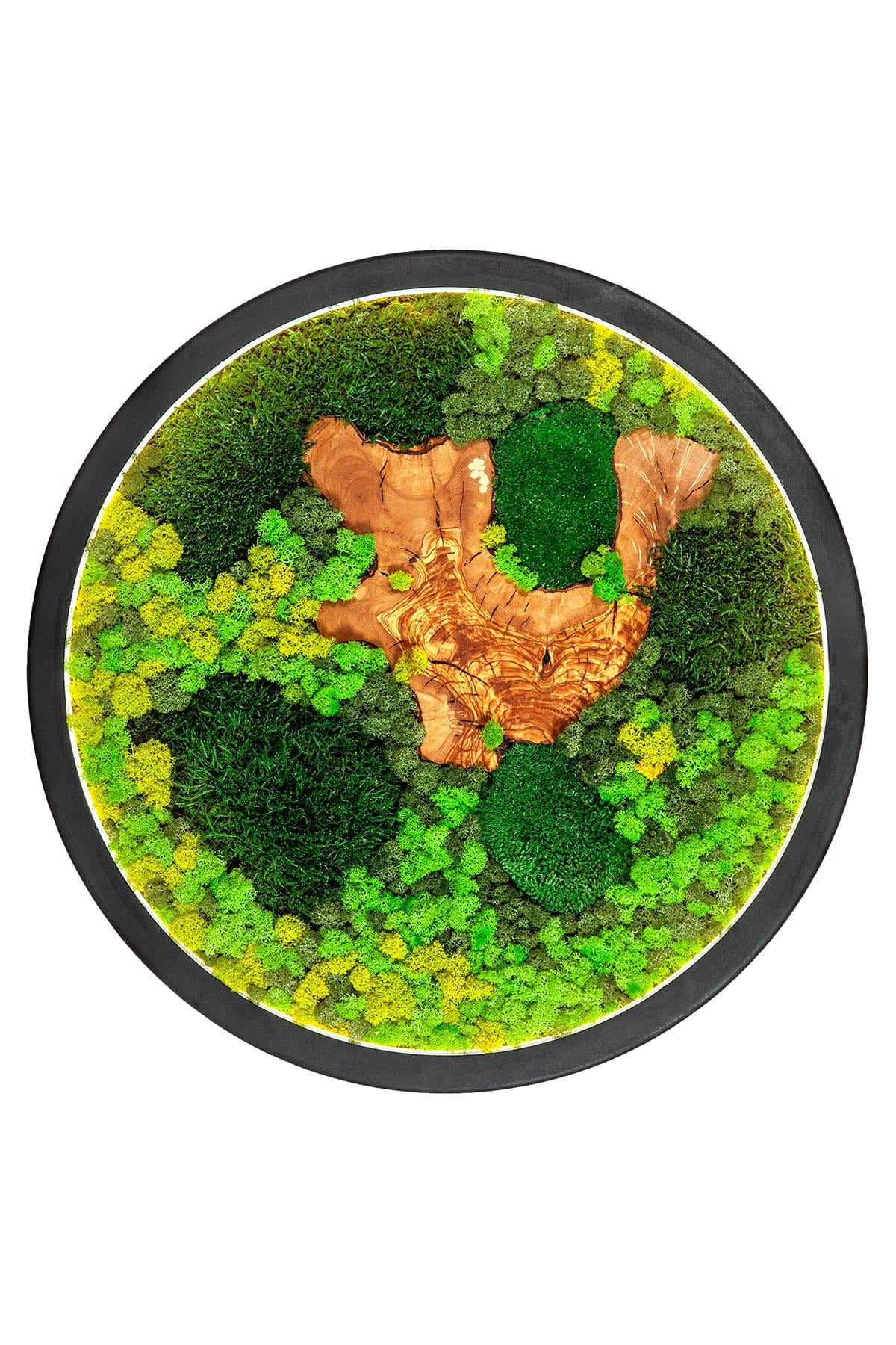 Moss Circle LED