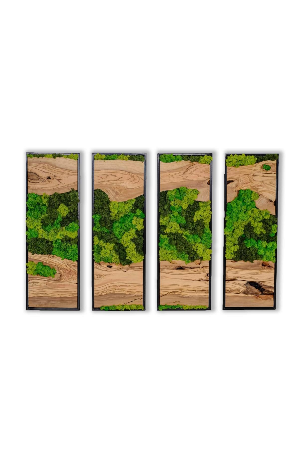 Silva Island Handmade Wooden Wall Art Made of Olive Slices and Shocked Live Moss