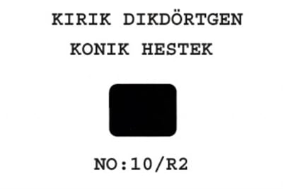 10/R2 Konik Heştek Kırık Dikdörtgen 6x4/16x14  17'