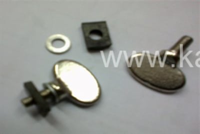 Alman Testere Kolu Kelebeği