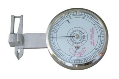 Saatli Taş Kumpası