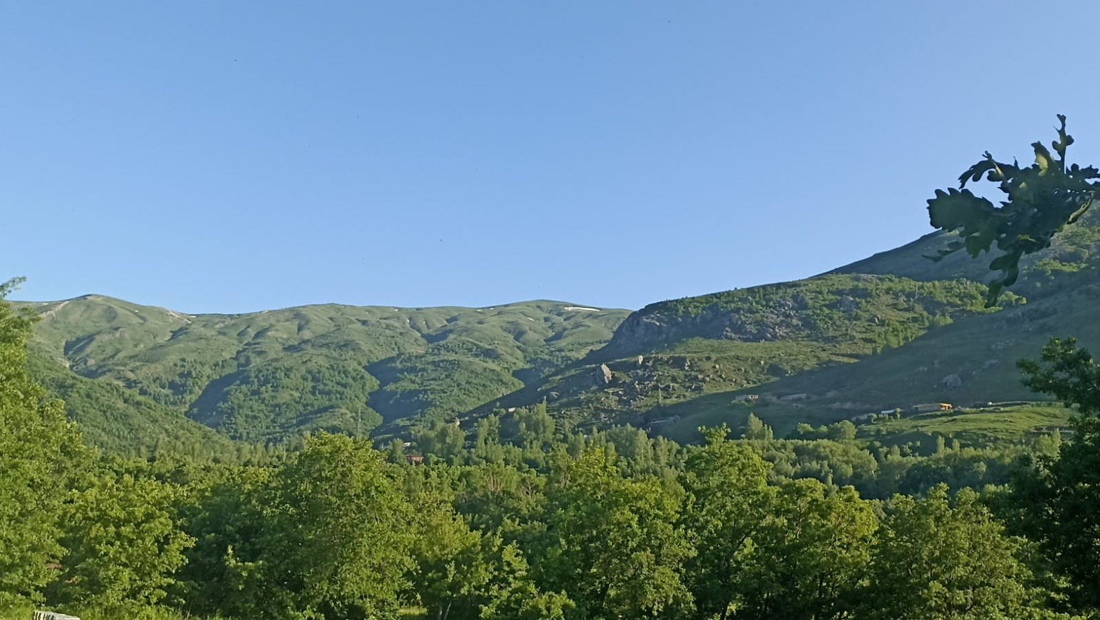 Yayla Görseli