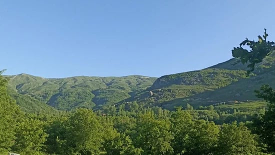 Yayla Görseli