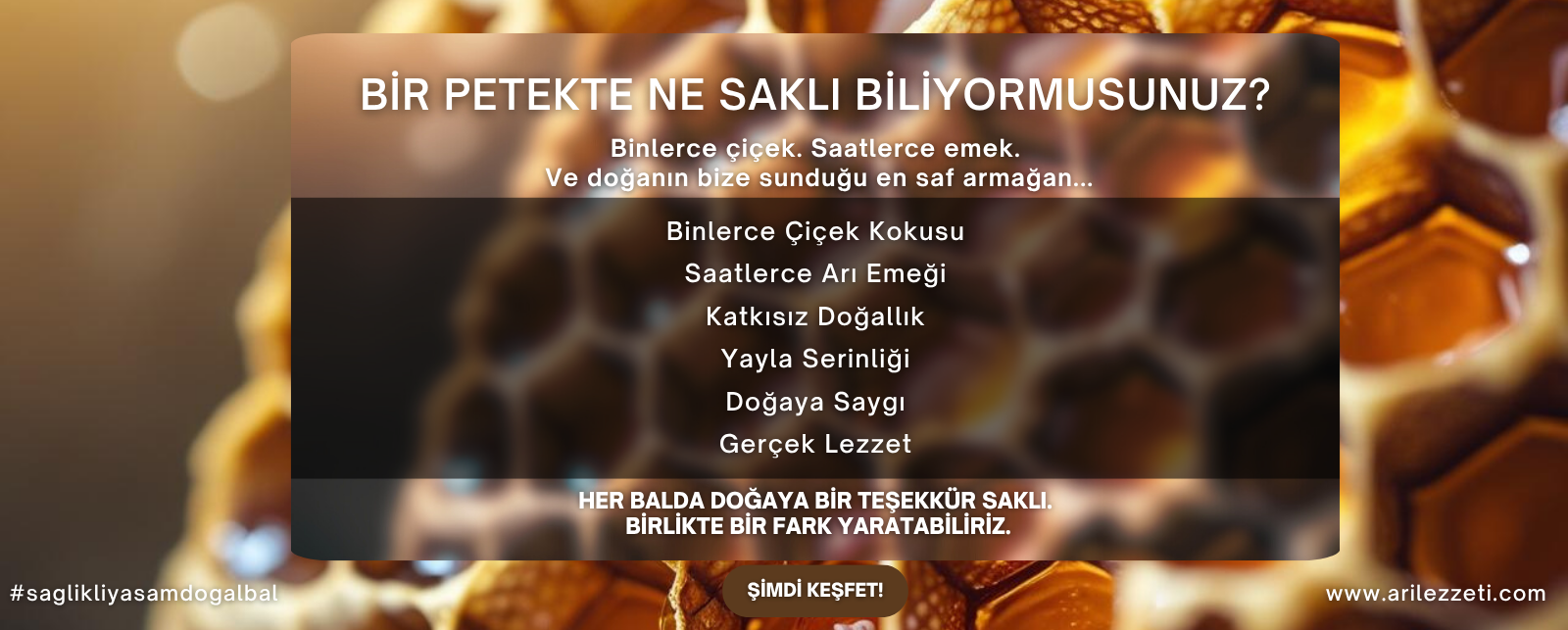 Bir Petekte Ne Saklı Biliyormusunuz?