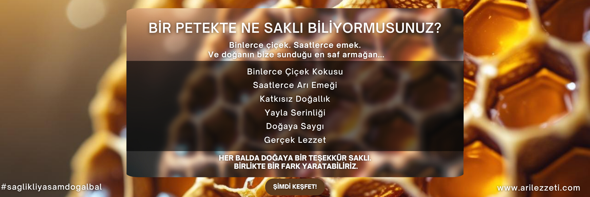 Bir Petekte Ne Saklı Biliyormusunuz?