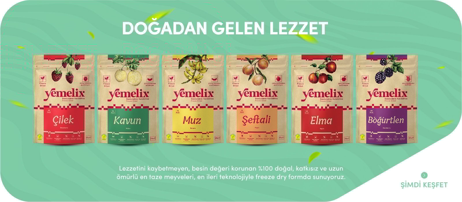 Dondurularak Kurutulmuş Meyveler