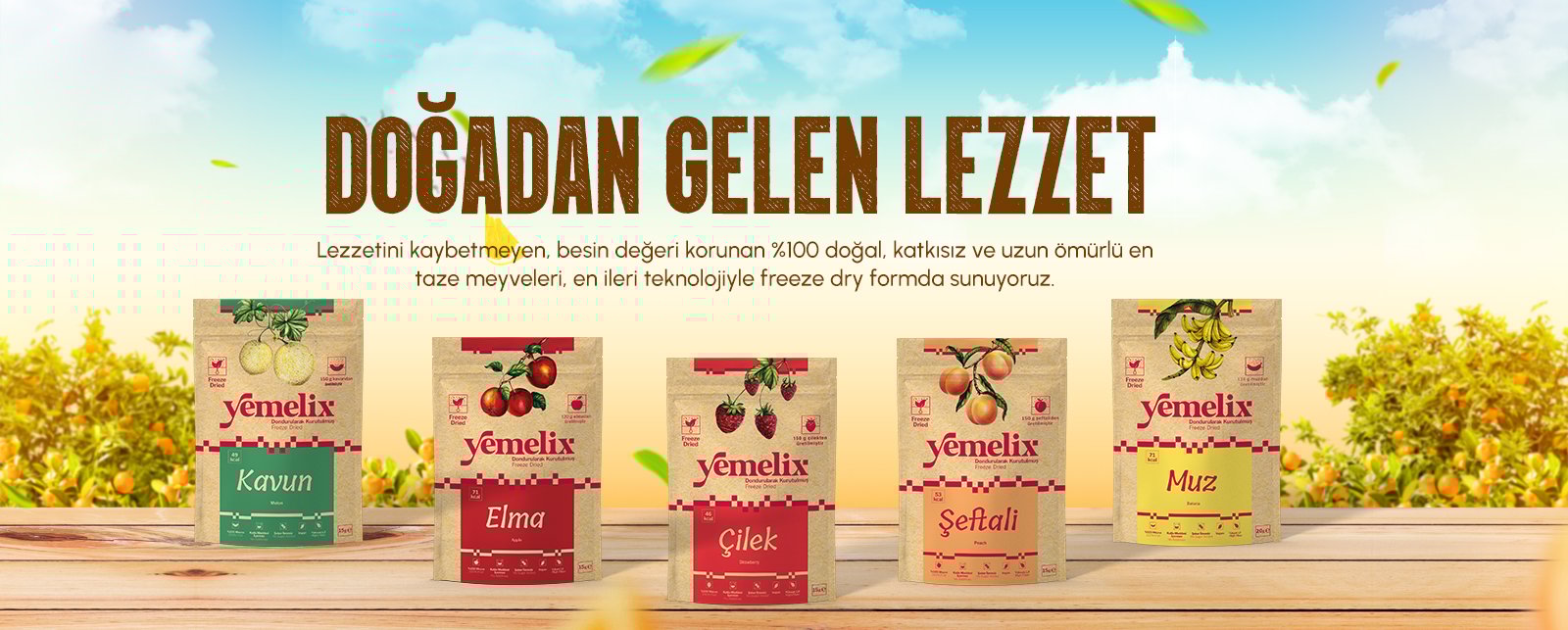 Dondurularak Kurutulmuş Meyveler