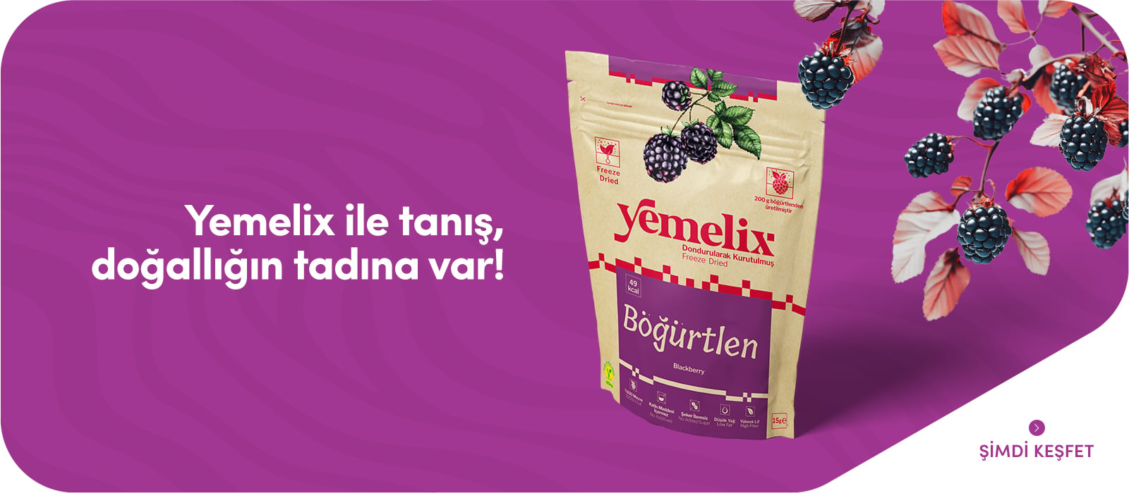 Dondurularak Kurutulmuş Meyveler