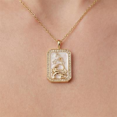 Çelik Kolye, Altın Kaplama Balık Burcu Kadın KolyeK-111