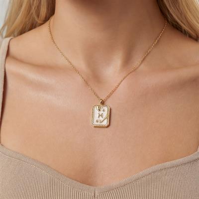 Çelik Kolye, Altın Kaplama Balık Burcu Kadın KolyeK-104