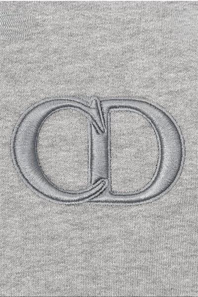DIOR CD Icon Hooded Sweatshirt Gray