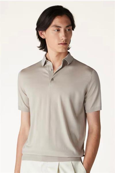 Loro Piana Ice Wish Polo Grey