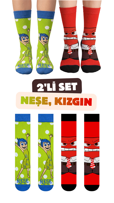 2li Neşe Kızgın Kutulu Çorap Set