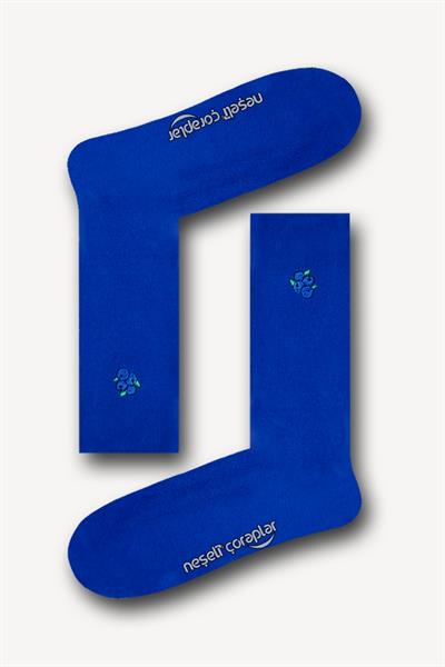 Nakışlı Blueberries Desenli Renkli Unisex Çorap