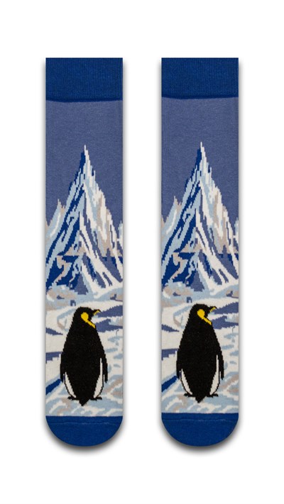 Penguen Renkli Unisex Çorap