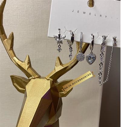 Özel Seri 6lı Daire Figürlü Silver Küpeler