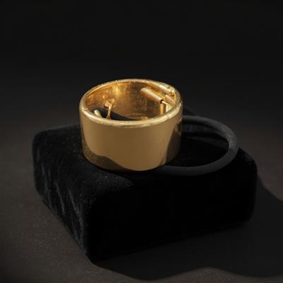Gold Metal Lastikli At Kuyruğu Toka