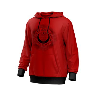 Gençlerbirliği Logolu Hoodie (Web'e Özel)